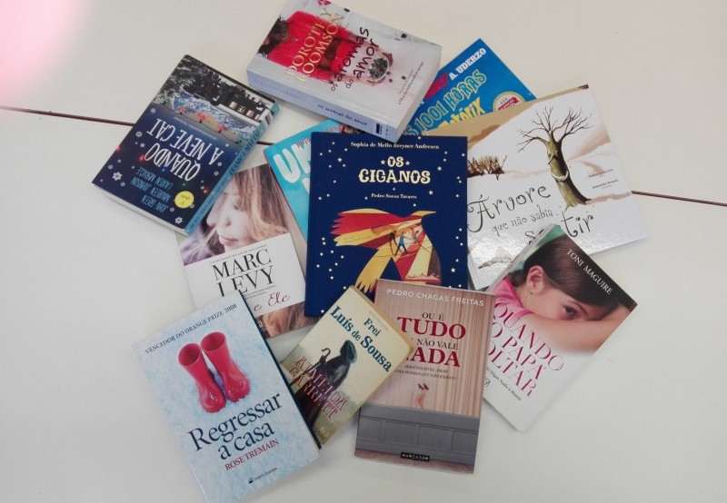 Desafios de Leitura da Bibliorodo